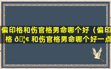 偏印格和伤官格男命哪个好（偏印格 🦢 和伤官格男命哪个好一点）